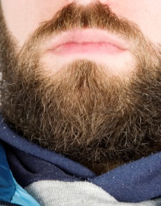 bearded man01